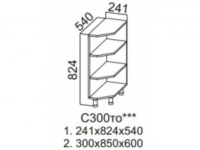 С300то Стол-рабочий 300 (торцевой открытый) в Каслях - kasli.magazin-mebel74.ru | фото