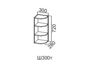 Ш300т/720 Шкаф навесной 300/720 (торцевой) в Каслях - kasli.magazin-mebel74.ru | фото