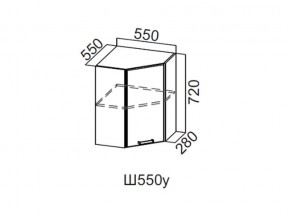 Ш550у/720 Шкаф навесной 550/720 (угловой) в Каслях - kasli.magazin-mebel74.ru | фото