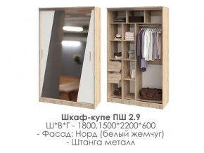 шкаф-купе ПШ-2.9 1500 Норд Белый жемчуг 1500 в Каслях - kasli.magazin-mebel74.ru | фото